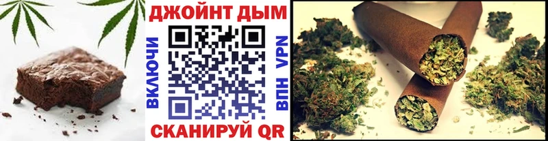 где купить   Шахунья  Cannafood конопля 