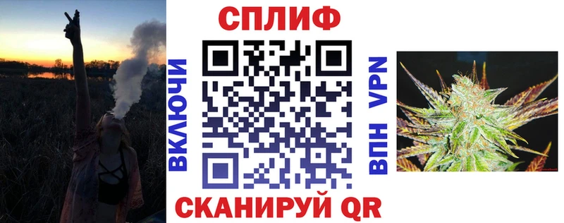 Бошки Шишки план Шахунья